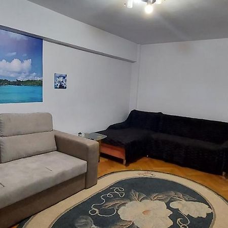 Bucovina Confort Apartament Appartement Suceava Buitenkant foto