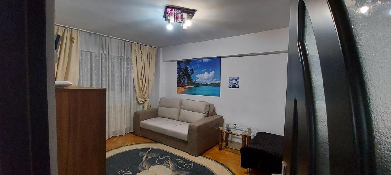 Bucovina Confort Apartament Appartement Suceava Buitenkant foto