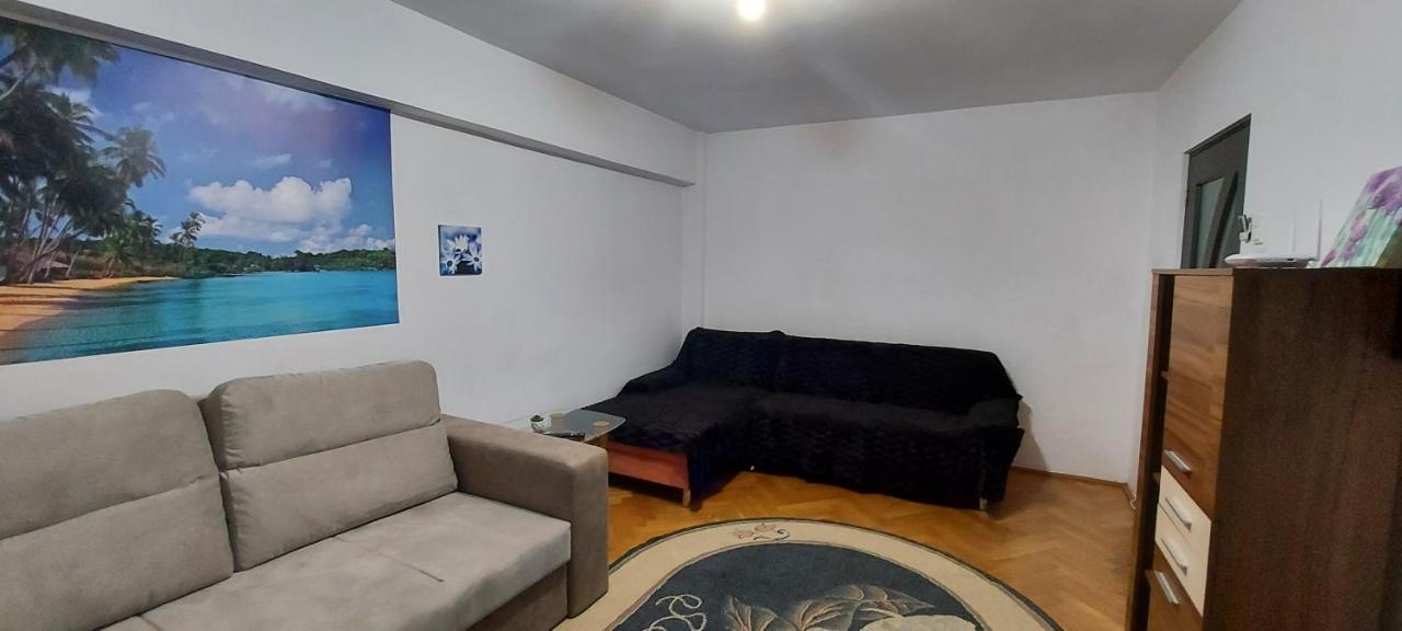 Bucovina Confort Apartament Appartement Suceava Buitenkant foto