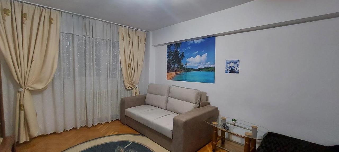 Bucovina Confort Apartament Appartement Suceava Buitenkant foto